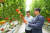 지난달 30일 양광식 팜팜 대표(왼쪽)와 김홍원 신세계푸드 농산팀장이 토마토 재배 현황을 파악하고 있다. [사진 신세계푸드]