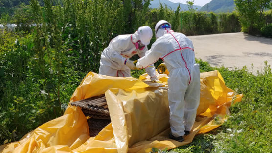 발암물질 석면을, 시멘트 만드는 '소성로'에…환경부 지원했다