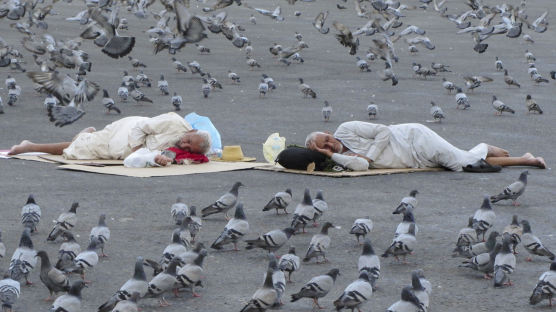비둘기떼 둘러싸여 자고…흰옷 입고 땅 엎드린 100만명 정체 [이 시각]