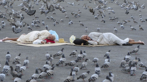 [이 시각]비둘기 떼에 둘러싸여 자더라도... 1백만 명 이슬람 성지순례