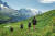 프랑스 동남부 소도시 샤모니몽블랑은 산악 관광의 성지로 불린다. 유럽 최고봉인 몽블랑을 보며 트레킹을 즐기고 신성한 산의 기운을 느끼며 쉴 수 있다. 전문 산악인이 아니어도 걷기여행을 즐기기 좋은 트레일도 많다. 사진 프랑스관광청