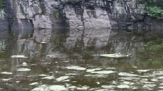 물고문 당하는 '선사시대 바위그림'…43.8㎞ 물길로 살린다