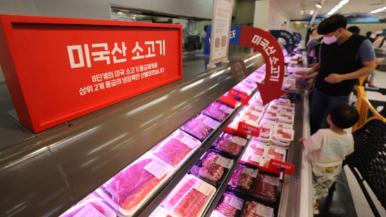 소·돼지·닭고기 수입액 30% 껑충…무관세 수입에 농가 반발