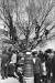 인산인해를 이룬 신민당 김대중 대통령 후보 선거유세장의 청중들, 장충단공원, 1971/ 박옥수