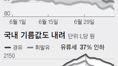 국제유가 하반기 100달러선 전망…국내도 소폭 내릴 듯