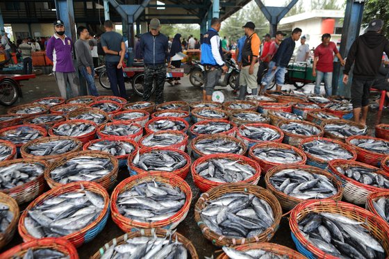 인도네시아 반다아체 람풀로의 전통 수산시장에서 생선이 거래되는 모습, EPA=연합뉴스