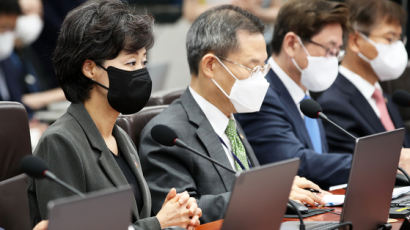 박순애 '논문 투고금지' 처분 의혹에 "스스로 철회 요청했다"