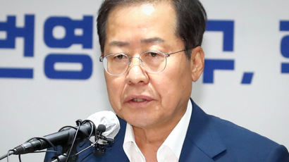 홍준표 "연탄가스 정치인…또 흔들어 박근혜 2기 만드나"