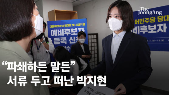 민주당 "박지현 자격 미비…당대표 후보 접수 자체가 안돼"