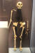 인도네시아에서 발굴된 호모 플로레시엔시스의 화석. 키가 100㎝쯤 돼서 ‘호빗’이라는 별칭으로 불린다. 아시아에서 이와 같은 중요한 발굴이 이어지면서 인류 기원에 대한 기존 가설들이 흔들리고 있다. 사진 위키피디아