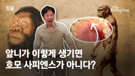 '진보의 행진'은 사기다?…한국인 '삽 모양 앞니'에 숨은 비밀