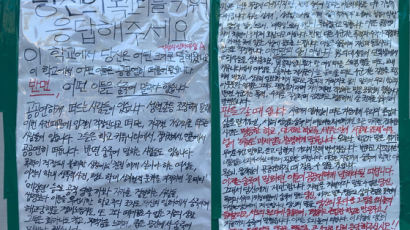 "성폭행 지적하면 '꼴페미' 공격"…'성폭행 추락사' 인하대서 대자보