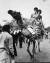 1962년 3월 당시 미국 영부인인 재클린 케네디와 여동생이 파키스탄을 방문해 낙타를 타보고 있다. 두 자매는 미국과 신생독립국 파키스탄 간 우호 관계를 증진시키기 위해 이 나라를 찾았다. [미국 정부 자료사진]  