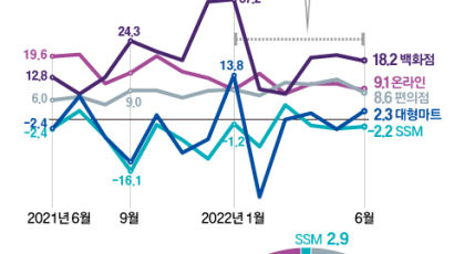 [Data & Now] 백화점·편의점 웃고 SSM 울고