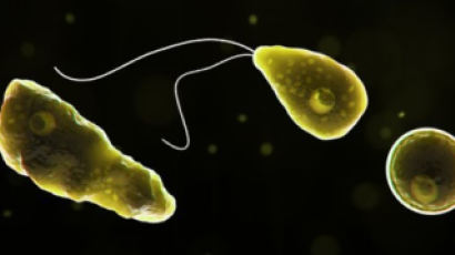 '뇌 먹는 아메바' 치사율 97% 충격…이스라엘 30대 사망 이유 