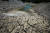 지난 5일(현지시간) 가뭄으로 갈라진 프랑스 르브록 호수 모습. 로이터=연합뉴스