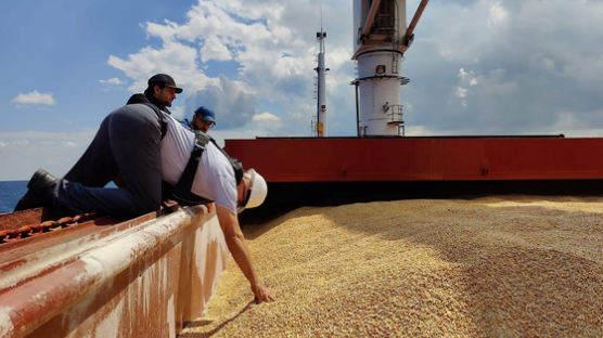 식탁 안정화 오나…우크라 곡물 수출길 열리자 식량값 큰 폭 하락 
