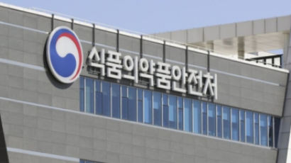 식약처, 중앙약심 첫 민간위원장 위촉…위원 수도 확대