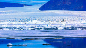 기후재앙에 북극 녹는데…빌게이츠·베이조스는 웃는다, 왜