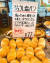 일본 팡 메종에서 판매하는 소금빵. 사진 팡 메종 공식 인스타그램
