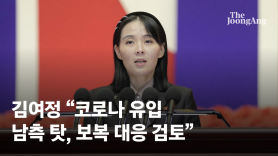 김여정 "北 코로나19 유입은 南 탓…강력한 보복성 대응 검토"