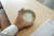 오대미로 지은 보배진의 냄비밥. 윤기와 코 끝을 채우는 고소한 밥의 향기가 침샘을 자극한다. 사진 김성현
