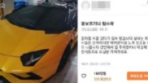 "람보르기니 100만원에 판다"…당근마켓 '침수차' 판매글 깜짝