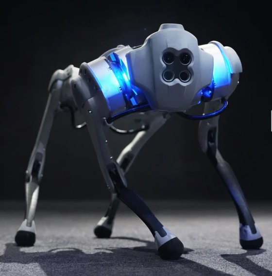 중국 유니트리 로보틱스의 사족 로봇 개 Go1. 사진=유니트리 로보틱스 홈페이지 캡처