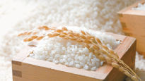 [食쌀을 합시다] 영양학적으로 뛰어난 우리 쌀, 다양한 가공식품으로 활용