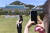 지난 5월 10일 청와대 개방 행사 때 시민이 본관과 대정원, 북악산을 배경으로 기념 촬영을 하고 있다. 김상선 기자