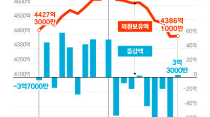 외환보유액 대비 단기외채 비율 42%…10년래 최고