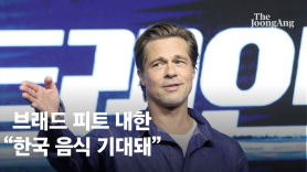 8년만에 한국 온 브래드 피트 "영화 홍보? 한식 먹으러 왔다"