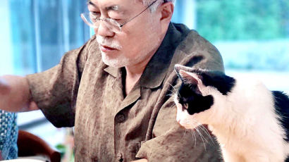 "고양이와 할아버지, 완전 웹툰 각"…文딸 다혜씨가 올린 사진
