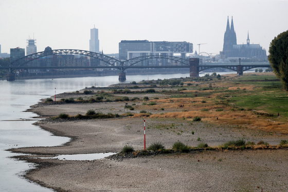 지난 18일 독일 쾰른시를 흐르는 라인강이 가뭄으로 바닥을 드러내고 있다. EPA=연합뉴스