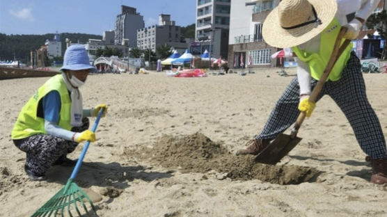 '찌릿' 통증에 사망까지…천적도 없다, 中서 몰려오는 그놈 공포 [e즐펀한 토크]