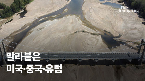 ‘물류동맥’ 라인·양쯔강 마르고…알래스카 왕게 궤멸적 타격