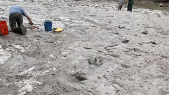 말라버린 강 바닥 놀라운 발견…1억년전 공룡 발자국 있었다