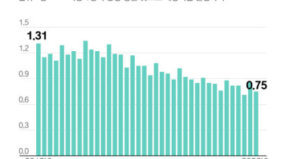 2분기 출산율 0.75명 사상 최저…올해 출생아 25만명 아래로