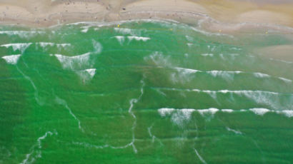 녹색 변한 다대포 바다…"치매·파킨슨병 유발 독소 국내 첫 검출"
