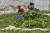 지난 4월 경북 포항시 남구 연일읍 비닐 하우스에서 농민들이 시금치를 수확하고 있다. 뉴스1 