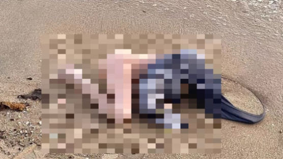 "하의 벗겨진채 머리없는 시체"…경찰도 놀란 해변위 리얼돌
