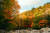 천아숲길은 제주도민 사이에서도 손꼽히는 단풍 명소다. 10월 중순부터 11월 초 단풍이 절정을 이룬다. 사진 제주관광공사