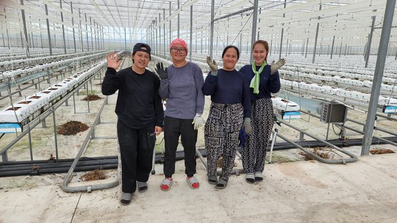 지난 2일 충남 부여군 장암면의 한 농장에서 필리핀 계절근로자인 마리아와 에이프릴, 메이펄, 브룩쉴즈가 환하게 웃고 있다.(오른쪽부터) 이들은 이곳에서 5개월간 일한 뒤 필리핀으로 돌아간다. 신진호 기자
