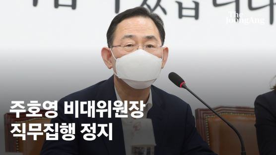 [속보] 법원, 국힘 비대위 사실상 무효 판단…"비상상황 아니다"