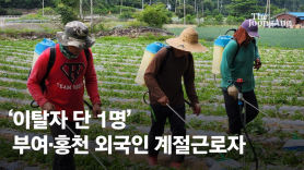 "이젠 안심하고 농사" 외국인 근로자 이탈 없는 지자체 비결 