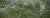 강요배, '바비'가 온 정원', 2021, 캔버스에 아크릴, 194X520cm. [사진 학고재]