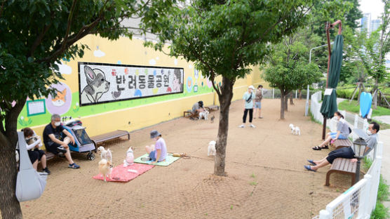 반려동물 전공 단과대 설립… 수천만원 치료비에 유기 반려동물도 급증