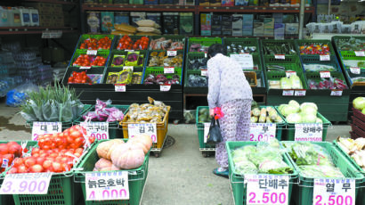 추석 앞두고 사과·배 공급량 2배 이상 늘려...4790억원 서울사랑상품권도 발행