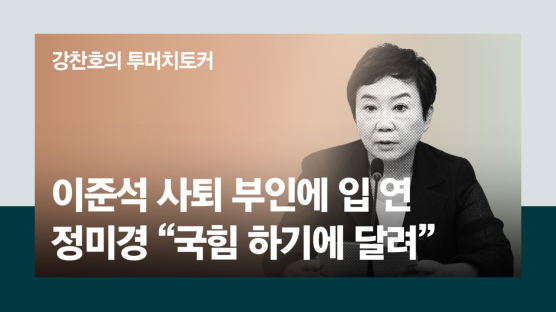 [단독] 정미경 "이준석, 가처분 인용땐 대표 사퇴한다고 했다"