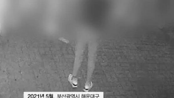 부산 도심서 흉기 패싸움…'조직 간 세력다툼' 조폭 73명 검거